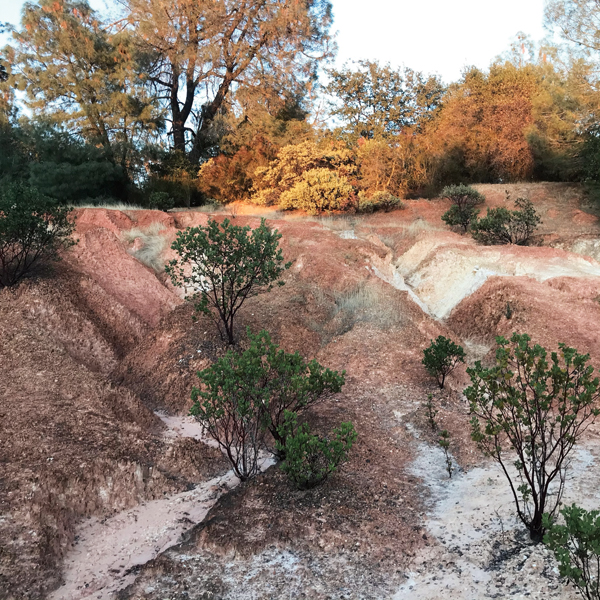 A This is an area of iron-rich laterite clay with visible veins of white kaolin. 