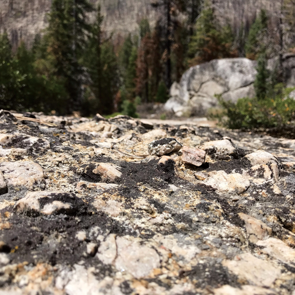 E Closeup view of a granite boulder with large feldspar crystals.