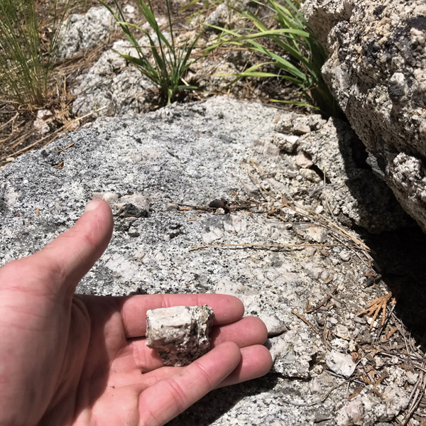 F  This is a piece of feldspar weathered loose from the granite.