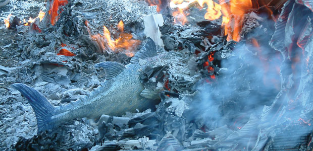 Diana Pittis uses cardboard boxes for her post-firing reduction. The remnants of one such firing is seen here.