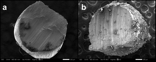 1 SEM imaging of Kanthal APM heating element cores. New/unoxidized kiln elements (a) and old/oxidized kiln elements (b). Note the extreme difference of surface textures. A 55x magnification was used for both images.